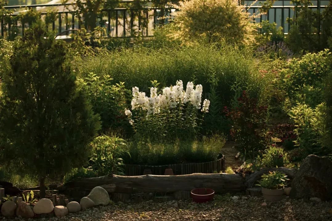 Saisonale Bepflanzung und Blumenpflege